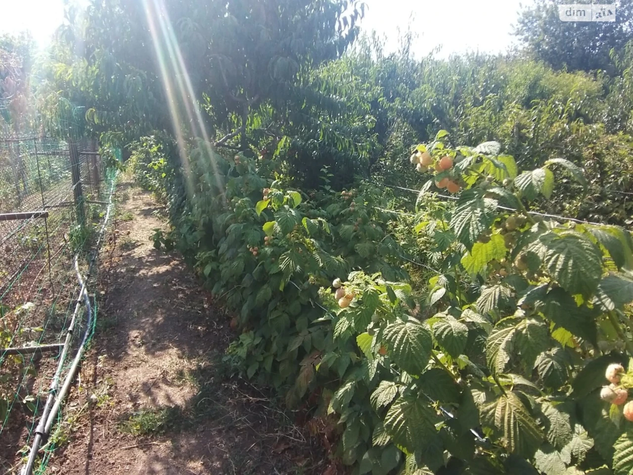 Продаж Ділянка під житлову забудову Правий Берег