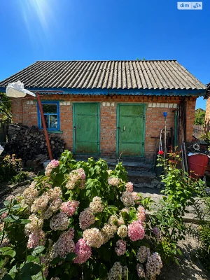 For Sale House Old Town