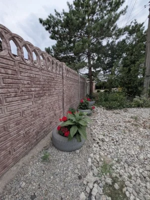 House for sale on 12 acres in Zaporizhzhia-Live for $16,000