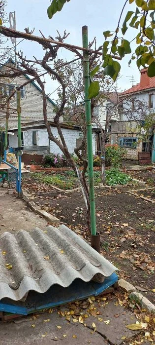 A part of a homestead with a plot on Obylnoy/Vanzetta is for sale