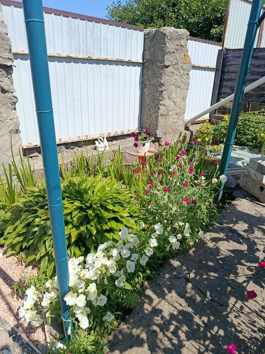 House for sale. Shevchenko district.