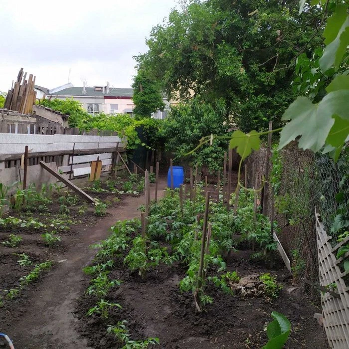 Продам дом на Радужной