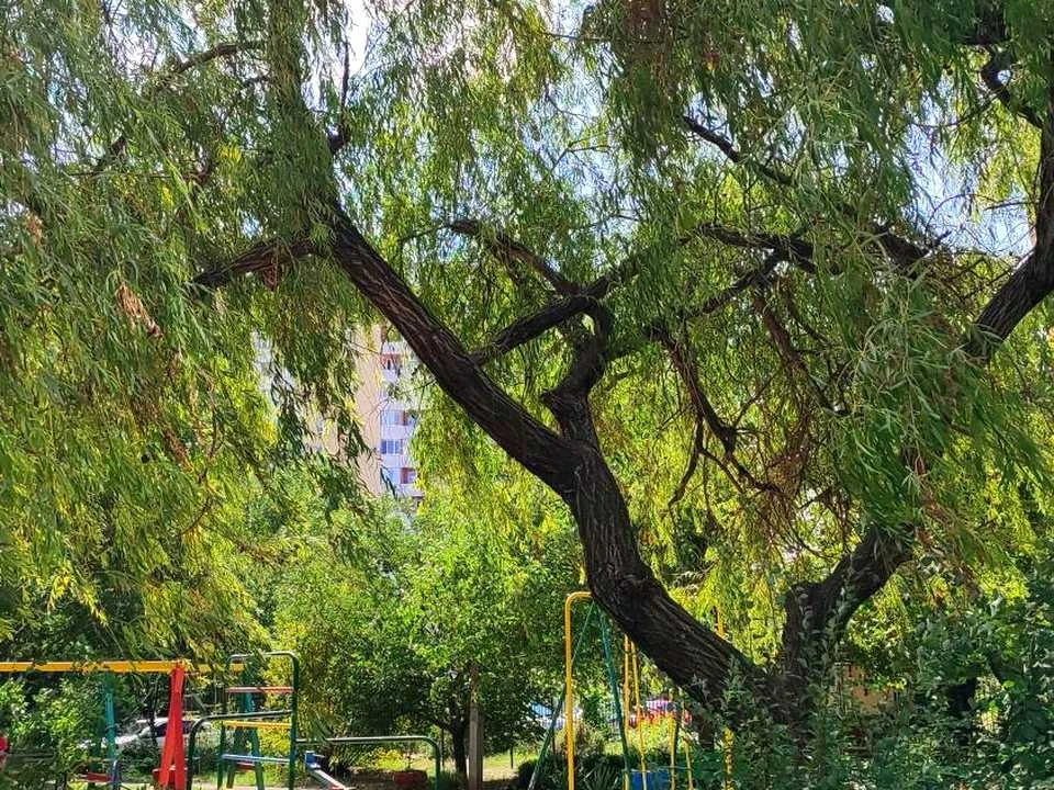 Квартира. Одесса, Левитана ул.