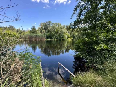 Будинок. Полтава, Колійна вул. (Вороніна)