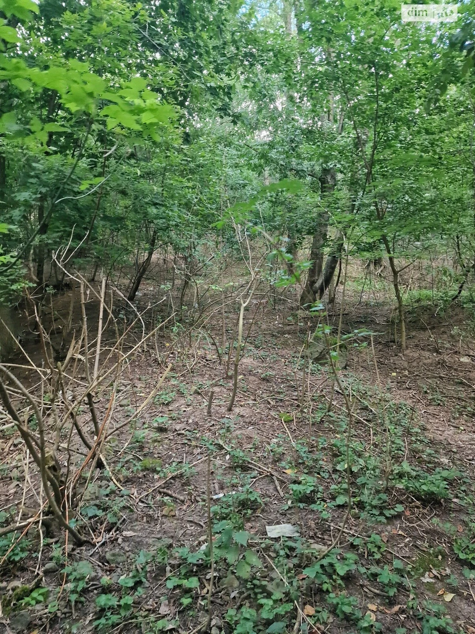 Продаж Ділянка під житлову забудову Старе місто