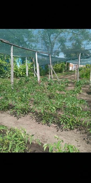 Продам дачу Днепровский р-н