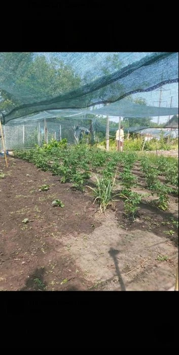 Продам дачу Днепровский р-н
