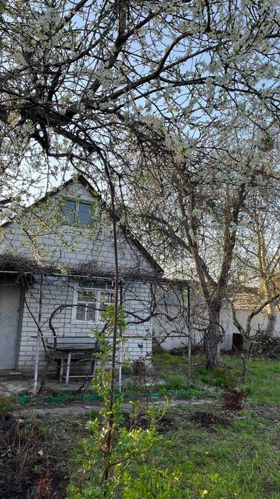 Продаж Дача Черкаси кооператив Енергетик район Зеленой