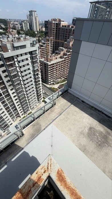 Penthouse for sale from the owner of the Novopecherskie Lypky residential complex. Verkhog