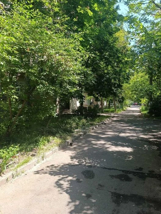 Переулок Шовкуненко( Северный), район Аркадии, выгодный вариант