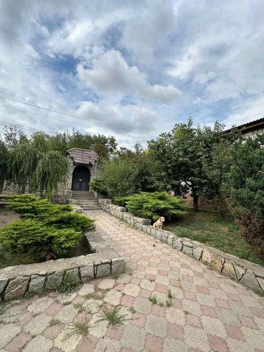 House + hangar for business for sale.