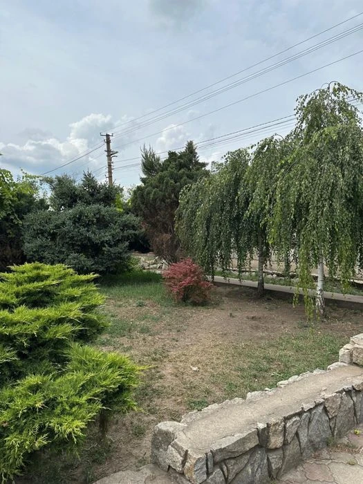 House + hangar for business for sale.