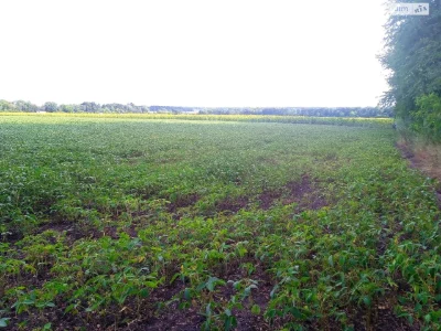 Продаж Ділянка під житлову забудову Хутір Шевченка