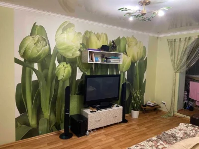 24500 Saltovka 531 district Cool 1-room apartment for sale