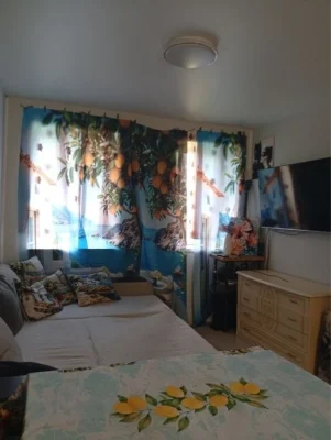 Sale of a house with renovation and living space