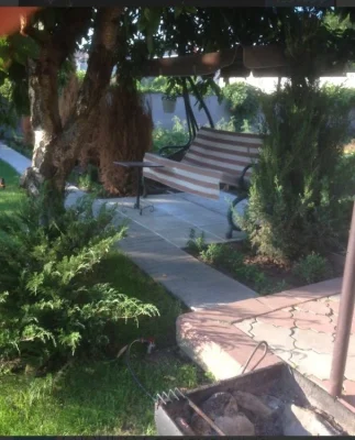House with plot. Golden slide