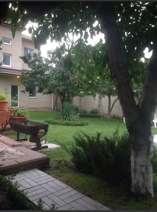House with plot. Golden slide