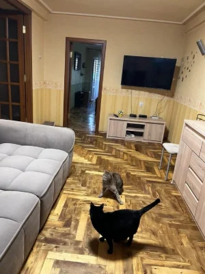 I will sell a 3-room apartment Kosmos 5/9 on Chumachenko Street