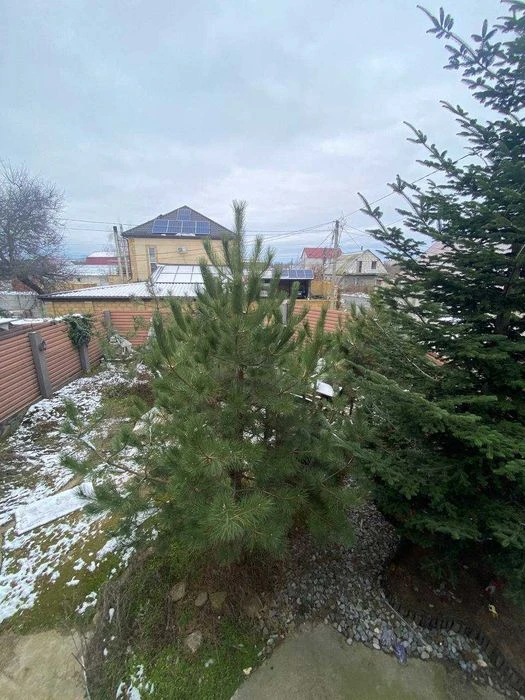 Продам дом на улице Боровского