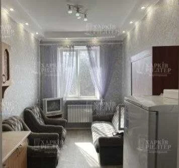 ND S4 I am selling a renovated guesthouse in Staraya Saltivka near the river
