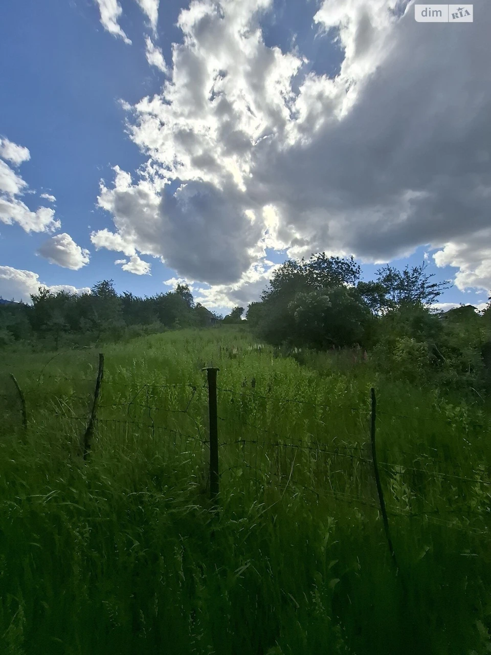 Продаж Ділянка під житлову забудову Дубове