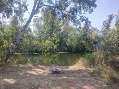 Пай 4 га! З видом на Ліс та Річку!