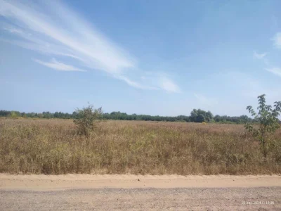 Пай 4 га! З видом на Ліс та Річку!