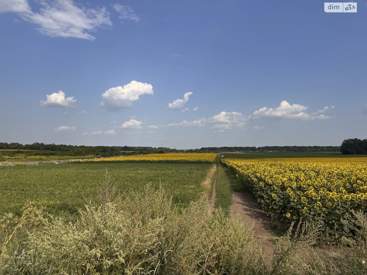 Продаж Ділянка під житлову забудову Замостя