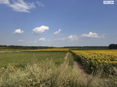 Продаж Ділянка під житлову забудову Замостя