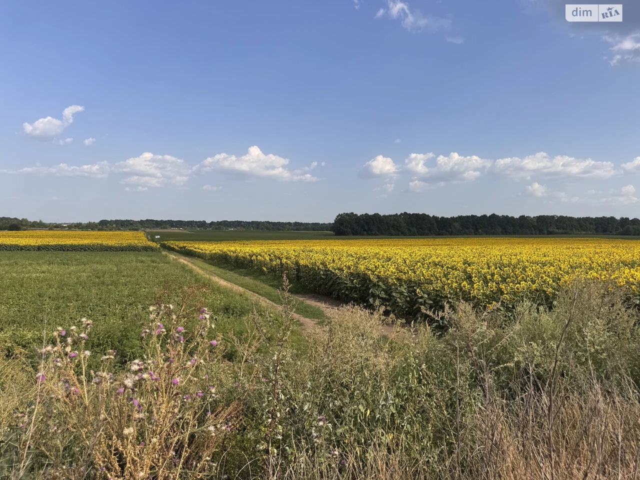 Продаж Ділянка під житлову забудову Замостя