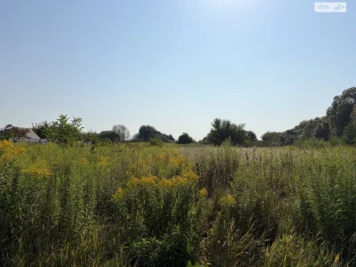 Продаж Ділянка під житлову забудову Новий Двір