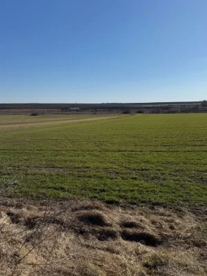 Продам рівну ділянку 6 сот Новий Двір