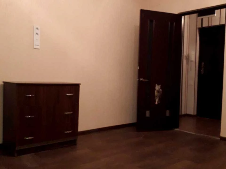 Квартира. Миколаїв, Новобузька вул.