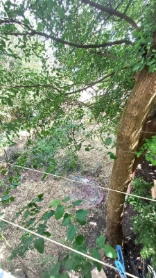 Продам 3К квартиру на 2/3 на ул.Яворницкого  / район ж/д вок