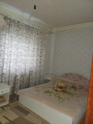 Продаю дом Ш. Балка 42000$
