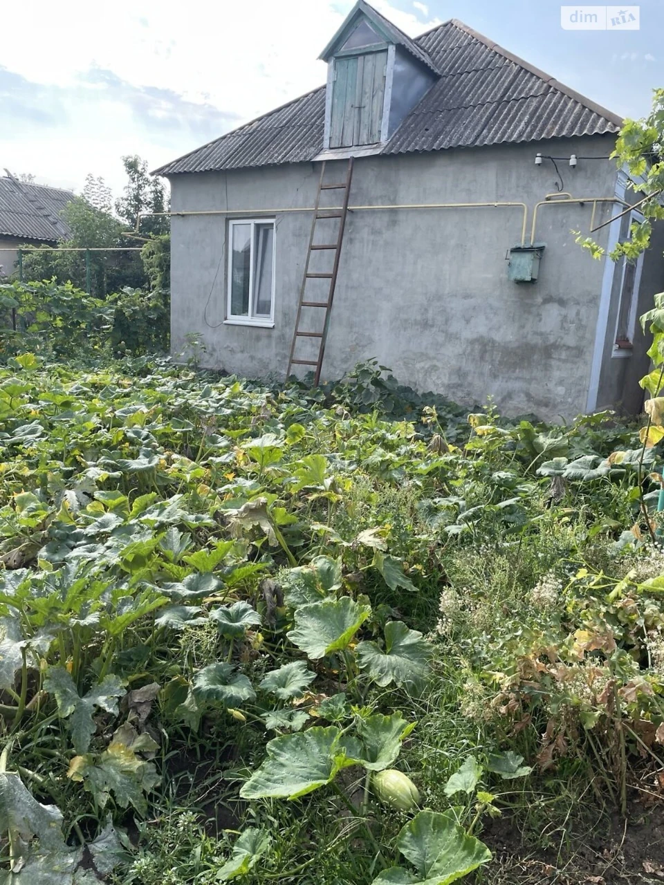 Продаж Дім Широка Балка