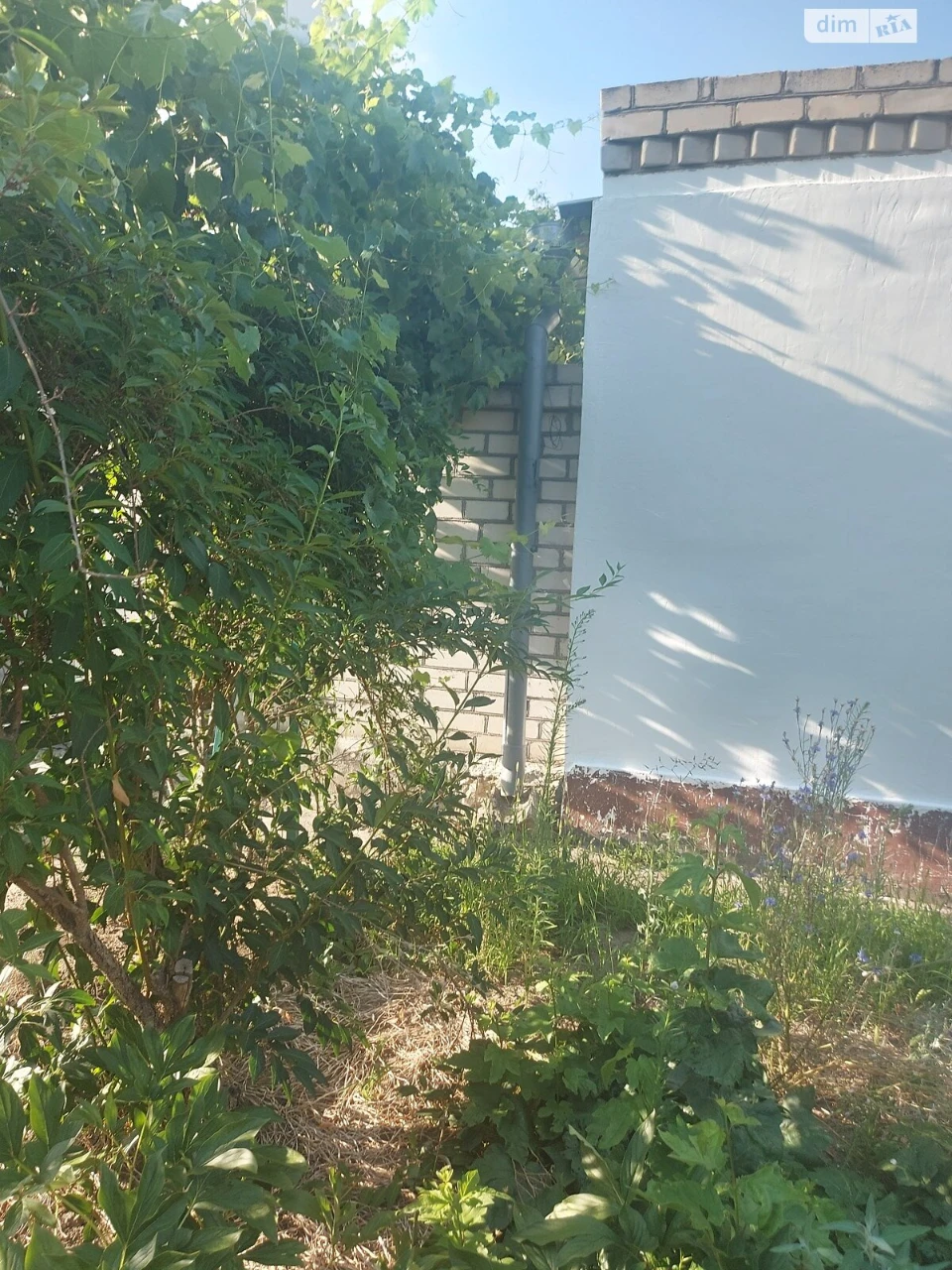 Продаж Дім Корабельний