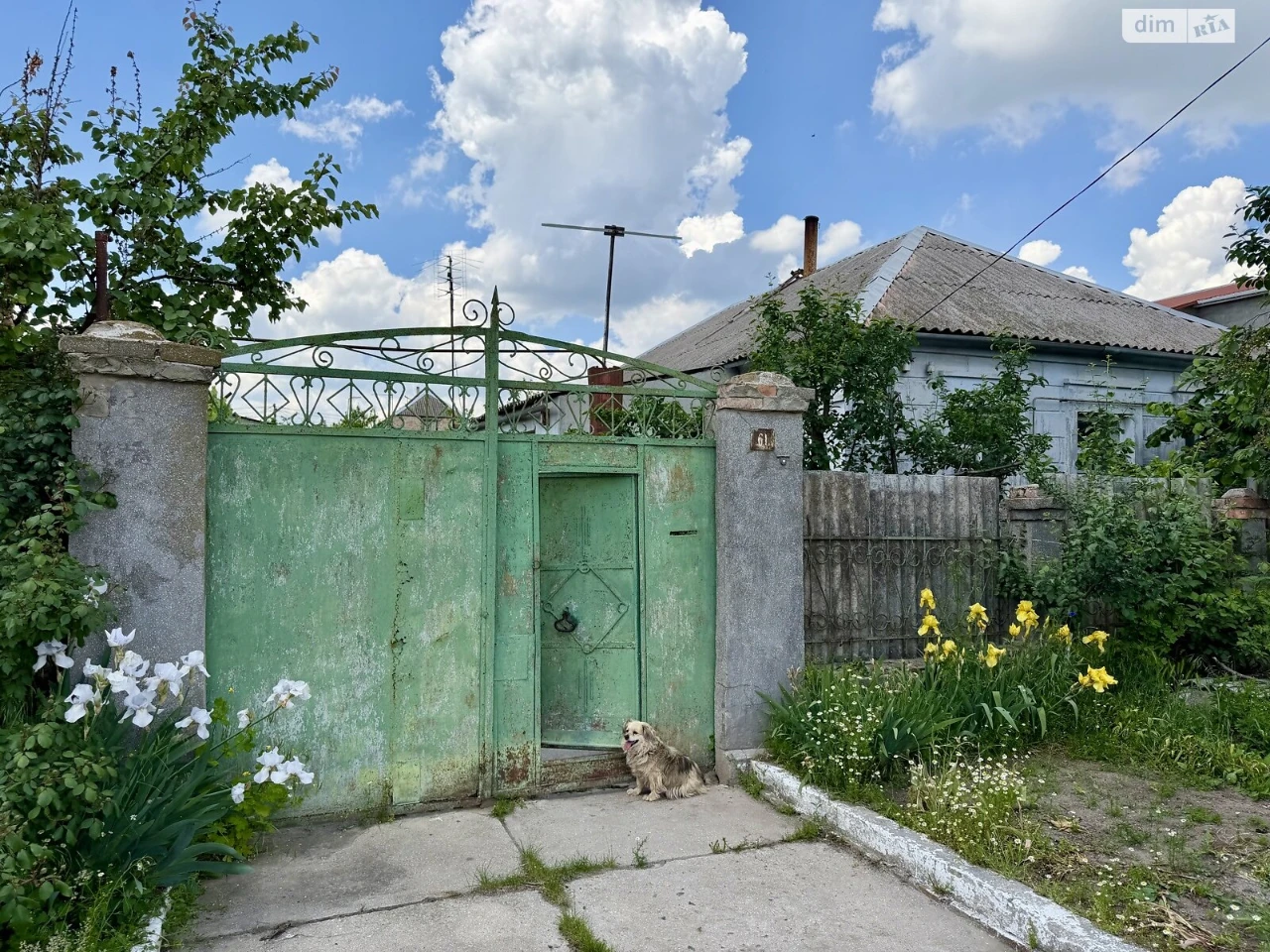 Продаж Дім Центральний