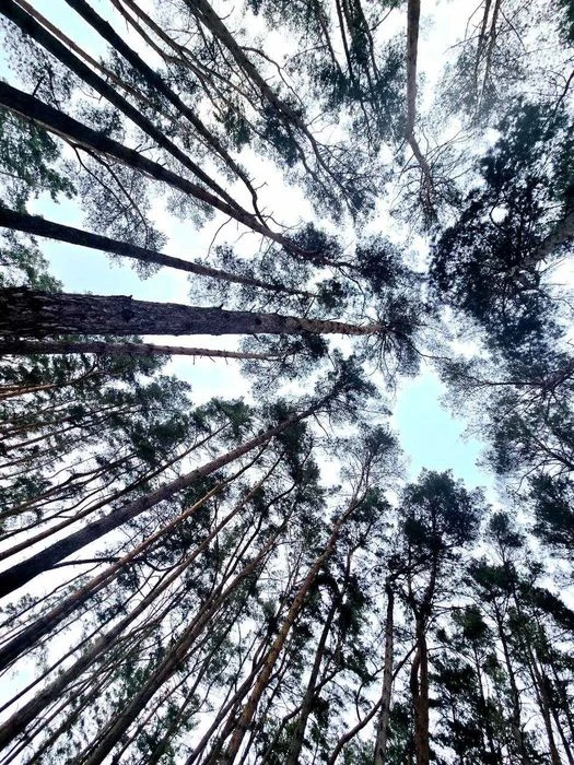 Продаж або обмін, студії під чистову обробку в ЖК "Forest Ap