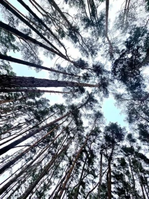 Продаж або обмін, студії під чистову обробку в ЖК "Forest Ap