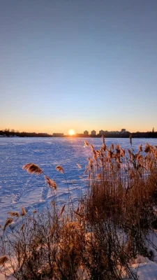 Однокімнатна в новобудові