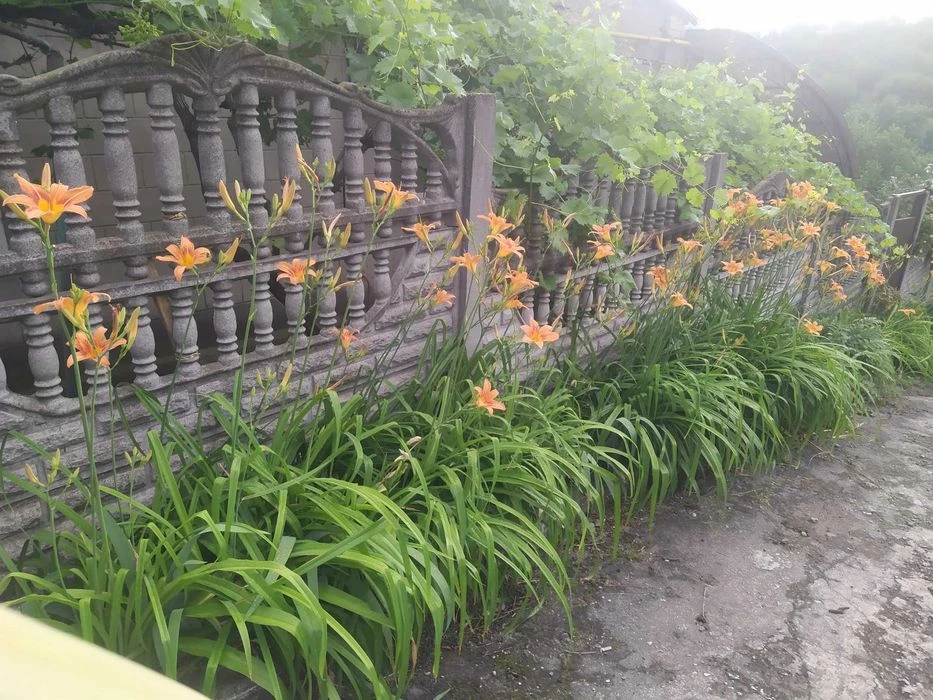 Center!! District Vernadskogo Pl. Semi-detached house + residential summer kitchen in