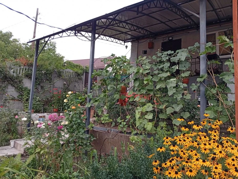 Center!! District Vernadskogo Pl. Semi-detached house + residential summer kitchen in