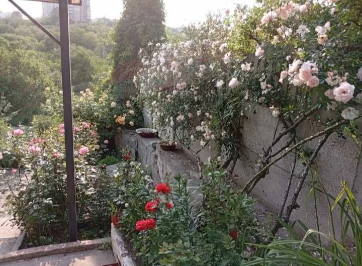 Center!! District Vernadskogo Pl. Semi-detached house + residential summer kitchen in