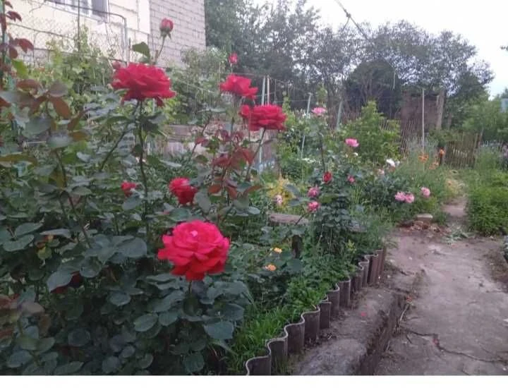 Center!! District Vernadskogo Pl. Semi-detached house + residential summer kitchen in
