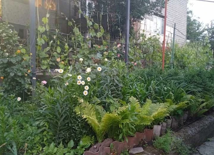 Center!! District Vernadskogo Pl. Semi-detached house + residential summer kitchen in