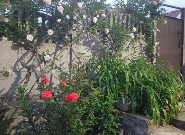 Center!! District Vernadskogo Pl. Semi-detached house + residential summer kitchen in
