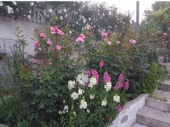 Center!! District Vernadskogo Pl. Semi-detached house + residential summer kitchen in