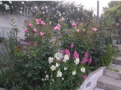 Center!! District Vernadskogo Pl. Semi-detached house + residential summer kitchen in