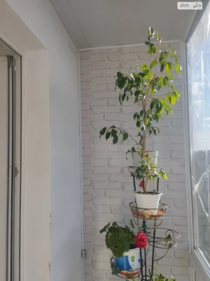Продаж Квартира Зарічний